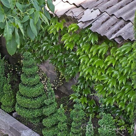 Shushan B&B Jegegnadzor Kültér fotó